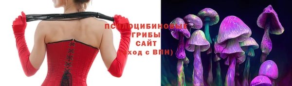 спиды Алзамай